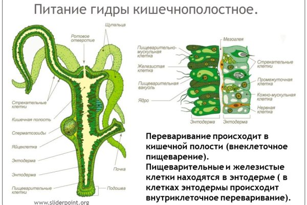 Даркнет официальный сайт на русском