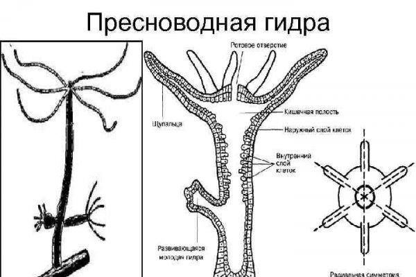 Ссылка омг в торе